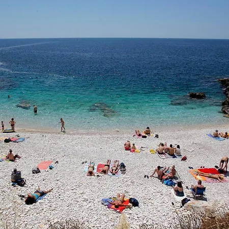 Apartment Apartment Sandra