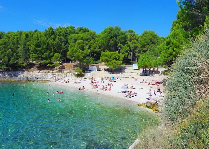 Apartment Sandra Apartment *